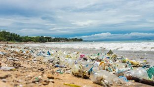 Beautiful Bali set to ban single-use plastics by end of 2022