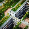 NASA explores potential for green roofs to mitigate heat-island effect in cities