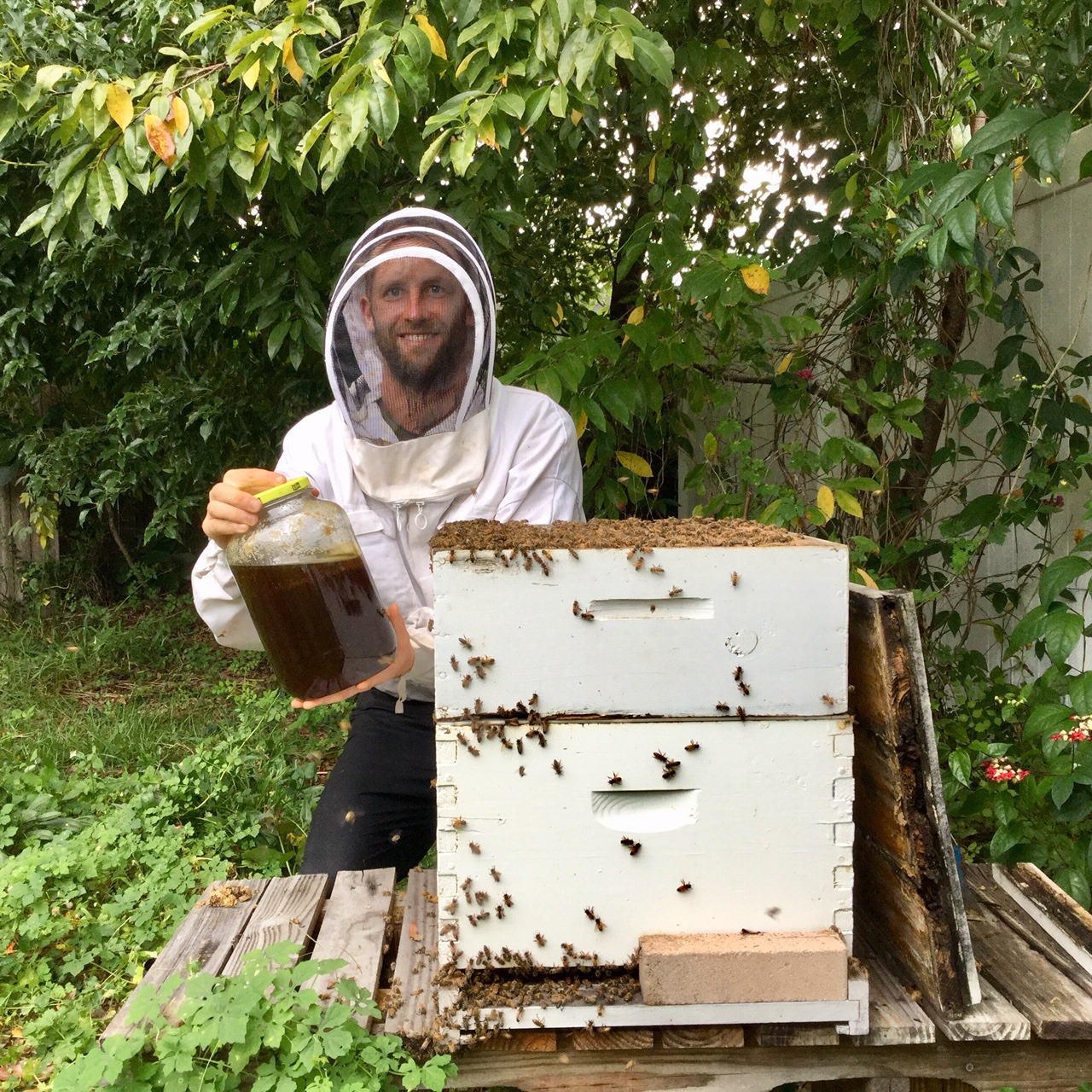 “Today is day 357 of growing and foraging 100% of my food and I’ve got a problem! TOO MUCH HONEY!”