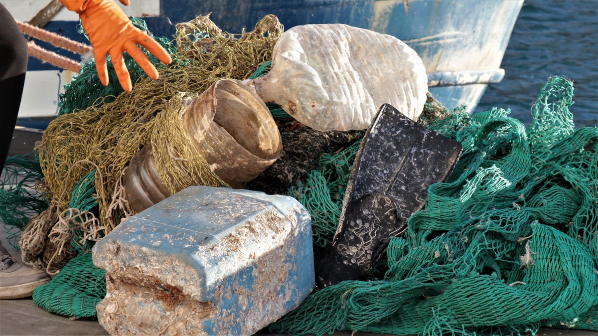 Catches in the Mediterranean Sea have fallen by as much as 34% in the last 50 years.