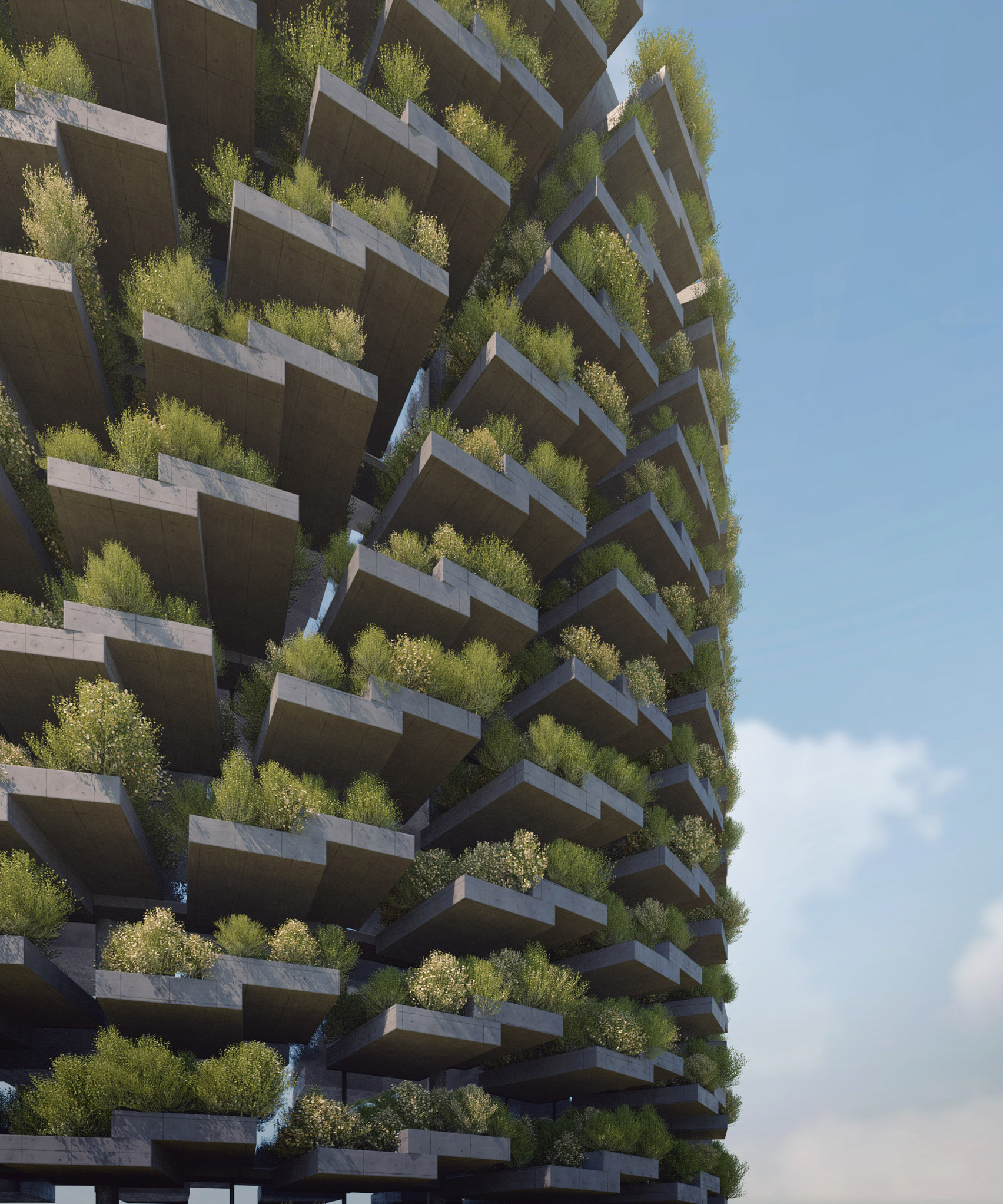 They also convert carbon dioxide into oxygen via photosynthesis. The leaves of the plants will also shade the building to help it keep cool naturally in hot weather, and provide a buffer for noise.