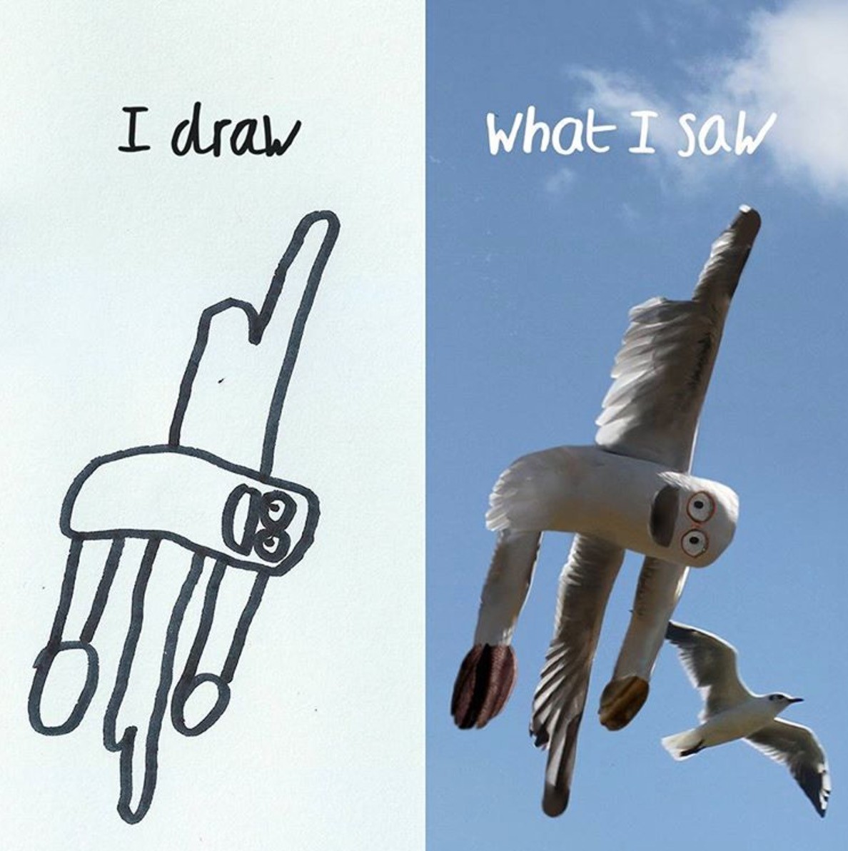 Puede ser bastante difícil dibujar gaviotar volando, pero creo que lo he conseguido.