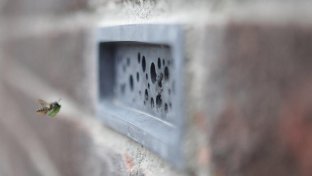 Los ladrillos para abejas pasan a ser obligatorios para la construcción de un balneario británico