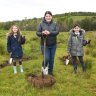 Glasgow to plant 18m trees in 10 years — that’s 10 trees for every resident!