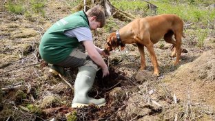 Life Terra’s first “Climate Forest” takes root in Germany