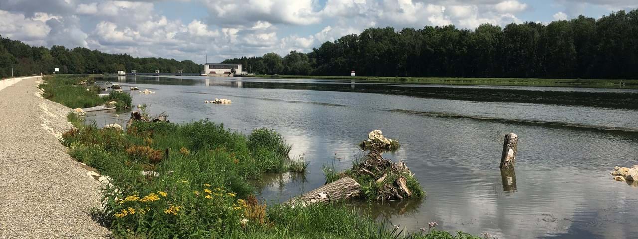 The environment-friendly approach to dam rehabilitation with eco-berms has been tested successfully and could be adapted for implementation along thousands of kilometres of riverbanks in Europe that meet the requirements for eco-berms.