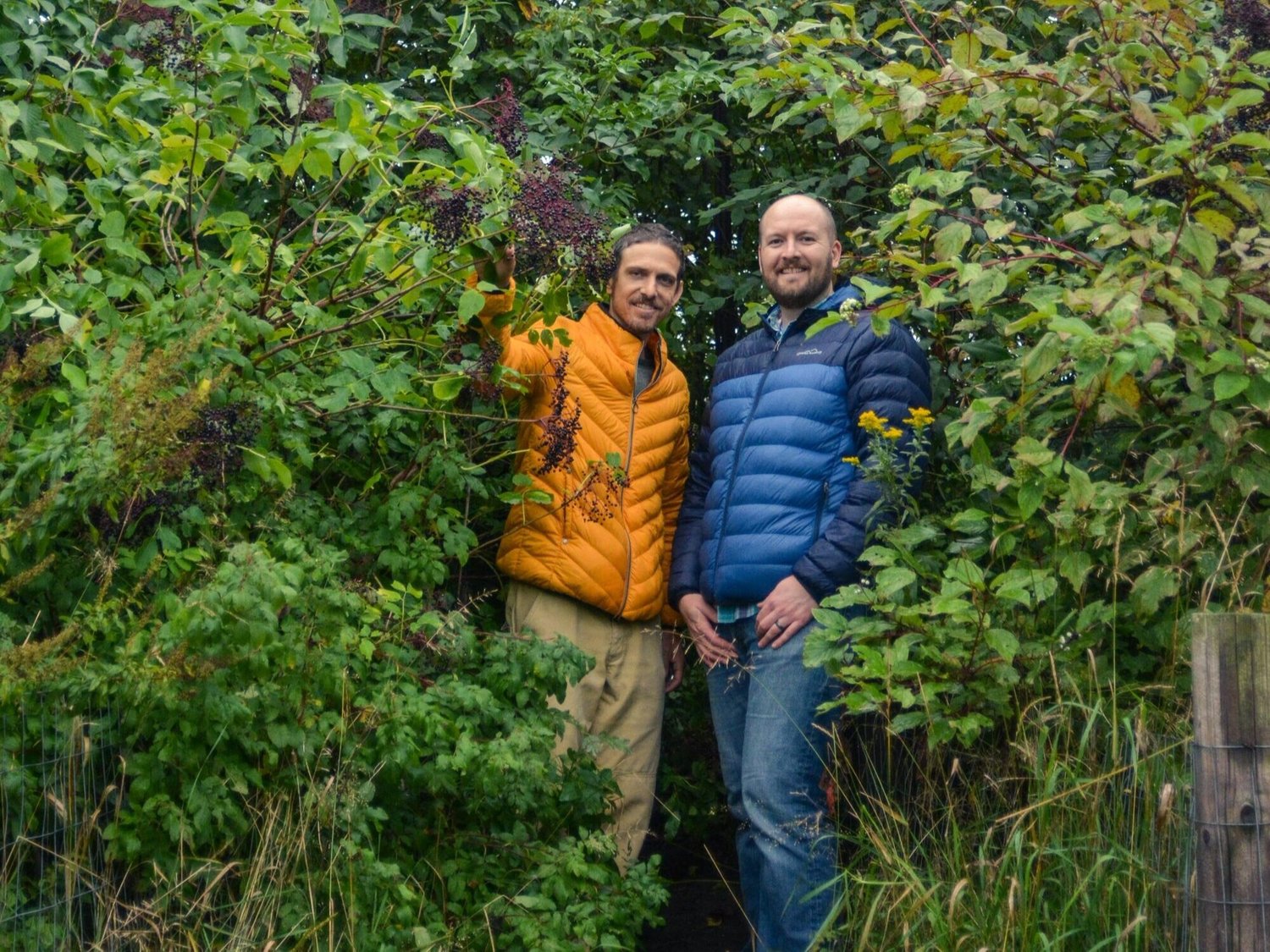 It was while working with Shubhendu Sharma (Afforestt), that Bryson learned the Miyawaki method of forest planting. Bryson believes the best part about these native forests is the visible increase in wildlife activity from animals, bees, and butterflies, the seasonal flowers, and abundant natural food production.
