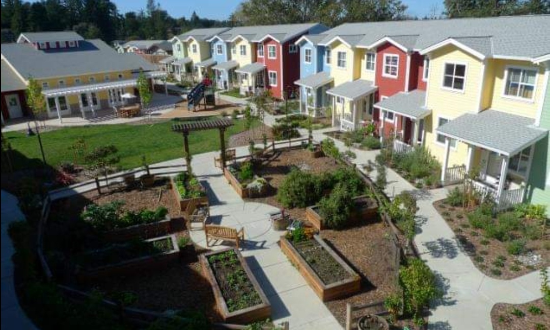 Seniors in the US are being attracted to new housing alternatives
