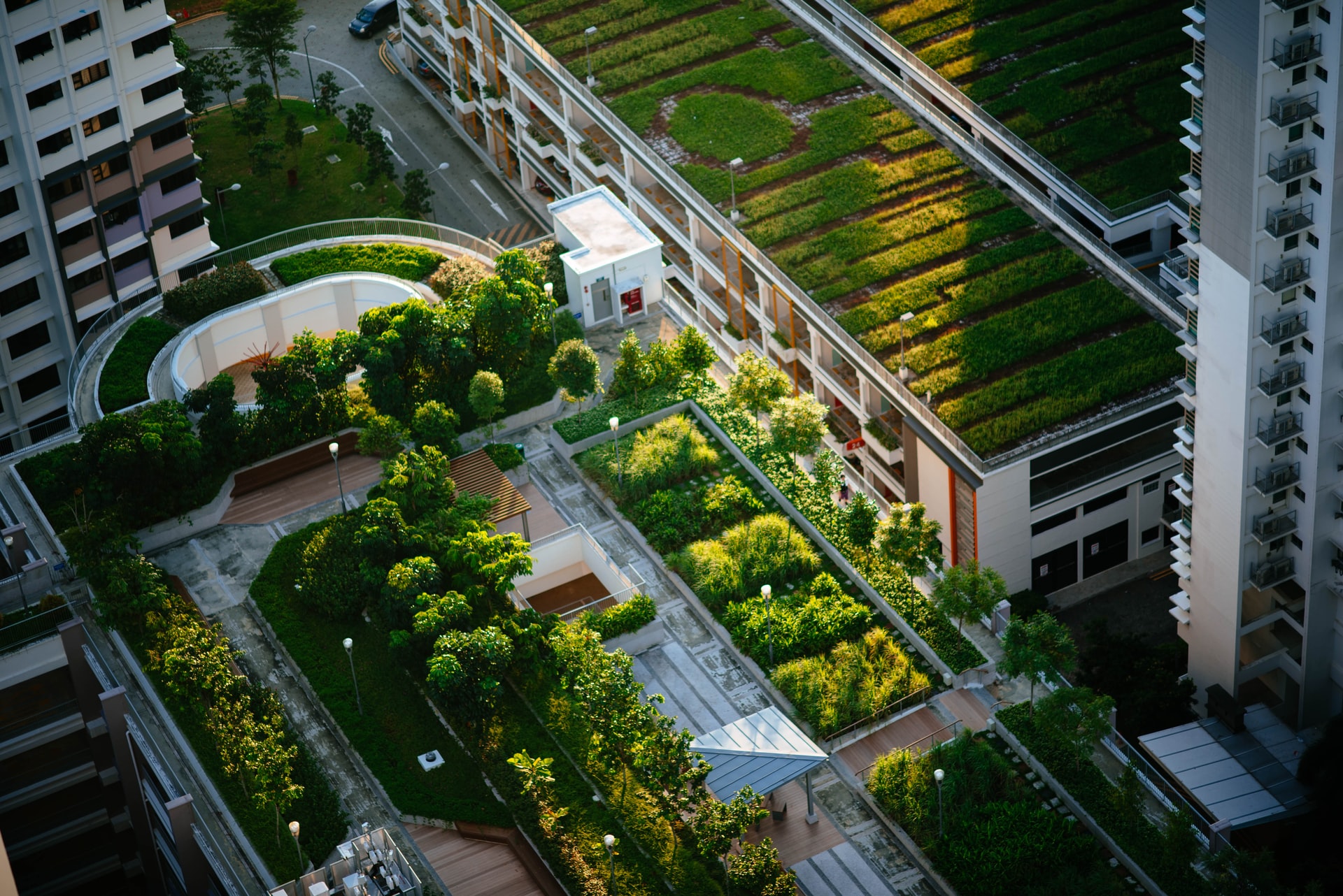 This low-cost method can aid policymakers and planners in empirically evaluating the cooling capacity of green roofs in their own communities.