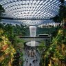 Biophilic design: what it is and why you should know about it