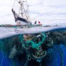 Ocean Voyages Institute founder commits to removing 1 million pounds of plastic from the ocean