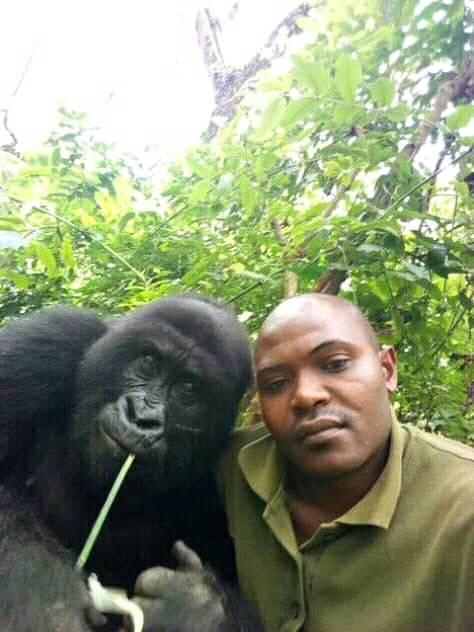 Located at park headquarters in Rumanbago, the Center’s inhabitants were each victims of poachers or animal traffickers as infants.