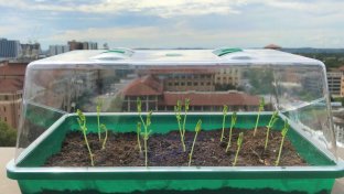 Self-watering soil could transform agriculture