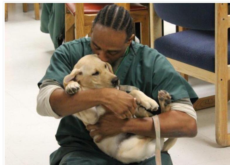 These adorable service pups are changing the lives of prisoners