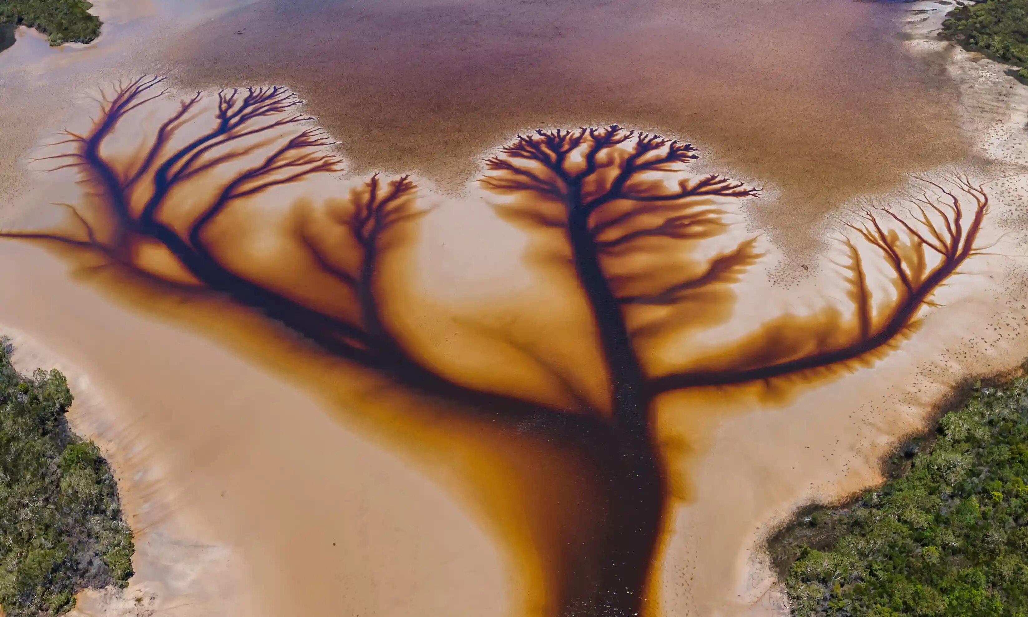 “The water is soaked by tea tree oils, hence the brown colour, and the extra water flowing out of the lake has created this stunning natural masterpiece,