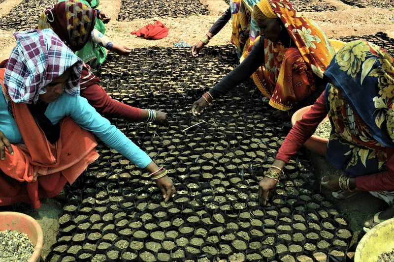 Planting fruit trees also helps fight hunger and poverty — but it goes much further than that, aligning with several of the United Nations Sustainable Development Goals by contributing to clean water and sanitation, decent work and economic growth, and climate action and biodiversity conservation. Furthermore, these efforts generate local employment at nurseries, specifically benefitting woman and other marginalised groups.