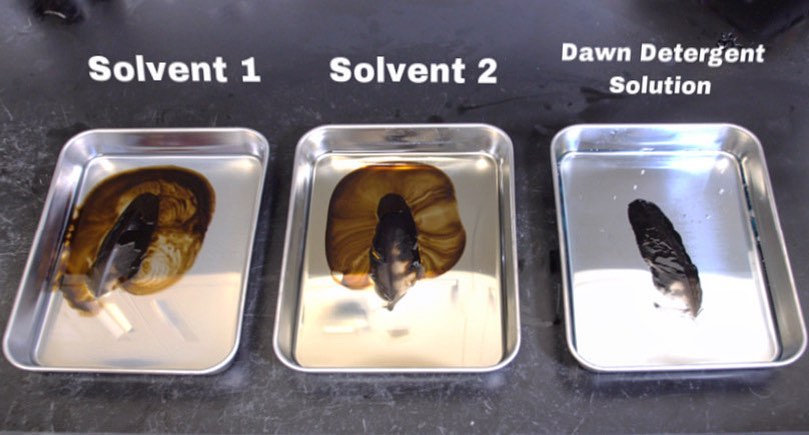 During experimental trials, CSCC’S chemical solvents removed 85-90% of oil from feathers, whereas dish detergent removed only ~35%