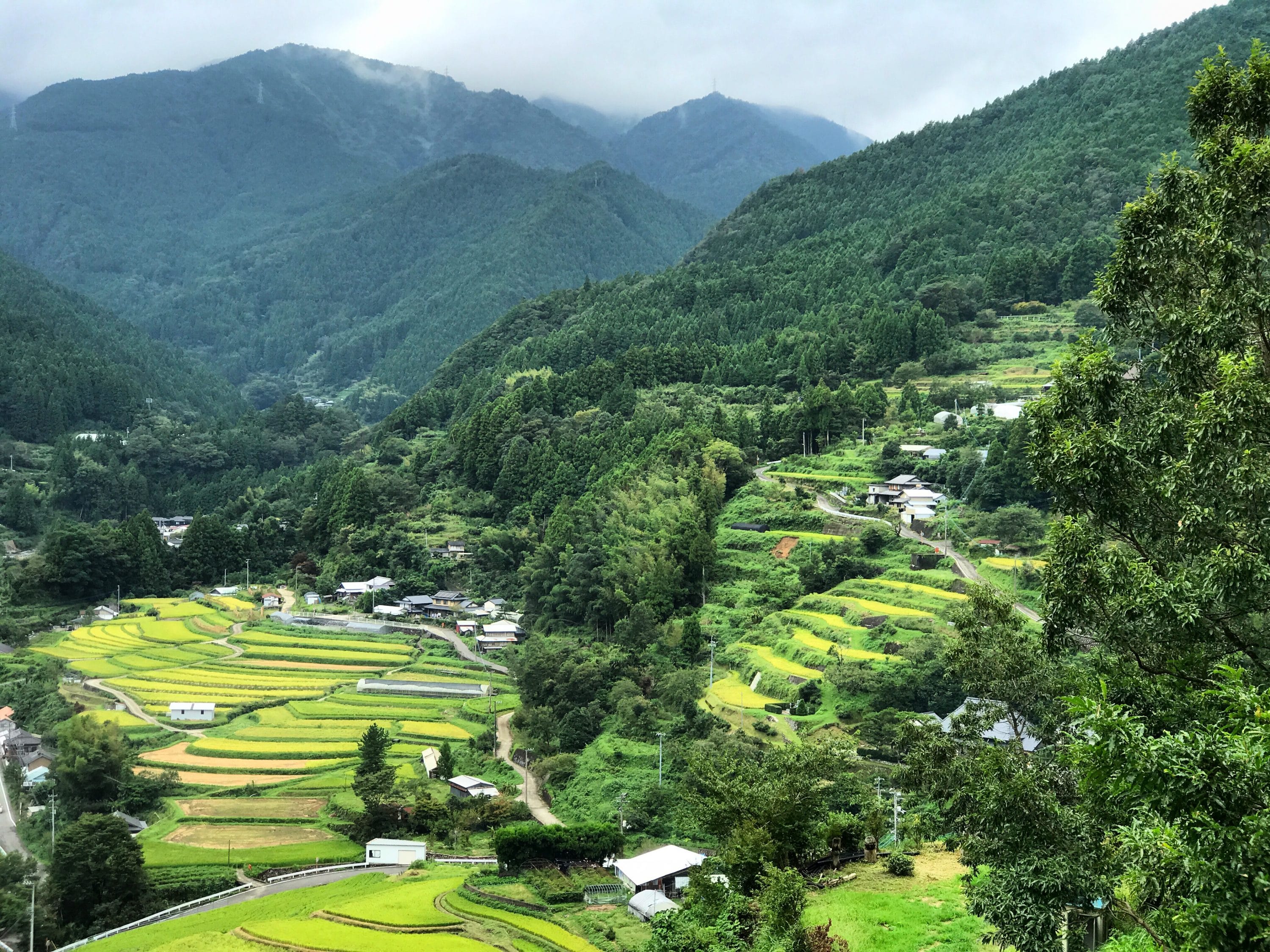 The town of Kamikatsu is located near the center of Tokushima Prefecture, along the upper reaches of the Katsuura River, about an hour’s drive from the capital city Tokushima. There is little level ground there: forested mountains account for 85% of the total land area. A population of 1,580 resides in some 800 households, gathered into 55 communities of various sizes that dot the landscape at altitudes ranging from 100 to 800 meters.