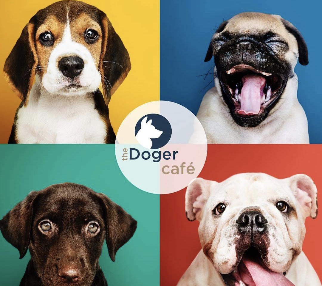 By collaborating with more than 15 animal animal shelters nationwide, TheDoger Café believe they are an important key to speed up adoptions. They also give free talks to raise awareness of abandonment.
