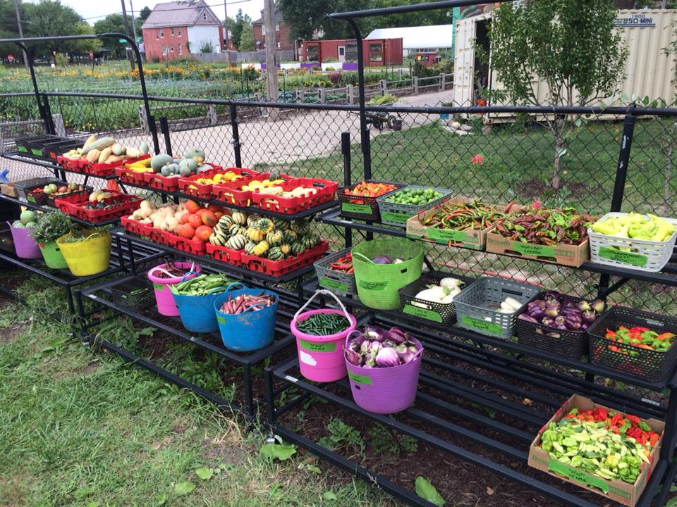 Each year, this urban farm provides fresh, free produce to 2,000 households within two square miles of the farm. They also supply food to local markets, restaurants, and food pantries.