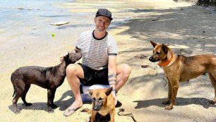 Irish media entrepreneur’s latest venture is caring for Thailand’s street dogs