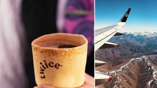Air New Zealand serves edible coffee cups to combat waste