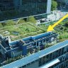 This green smart-roof in Rotterdam that helps prevent flooding