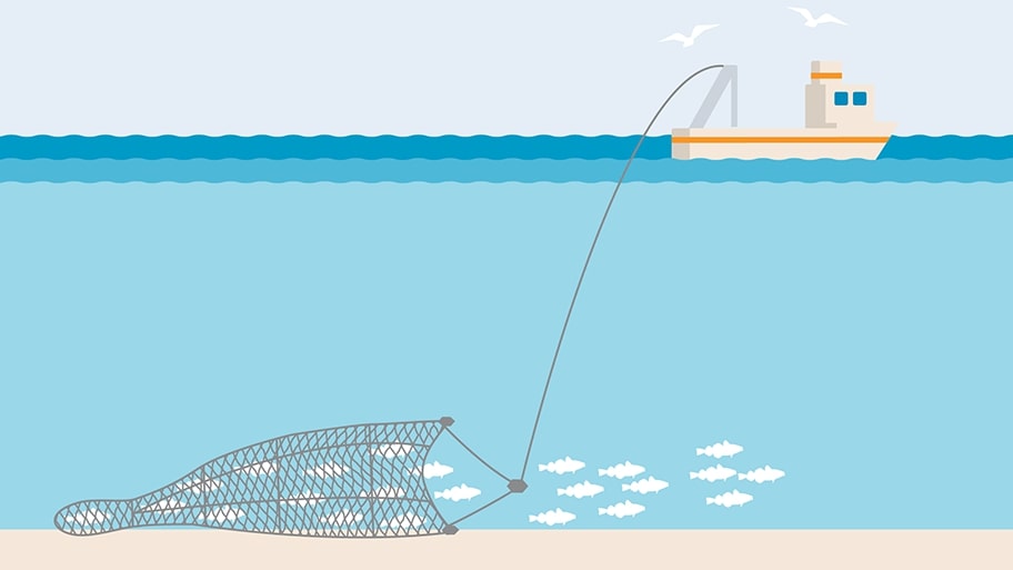 These nets are towed by one or two boats and are designed to catch fish living at great depths or on the bottom of the sea.