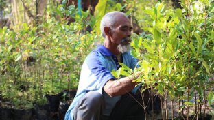 This Indonesian man single-handedly saved his village from starvation