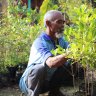 This Indonesian man single-handedly saved his village from starvation