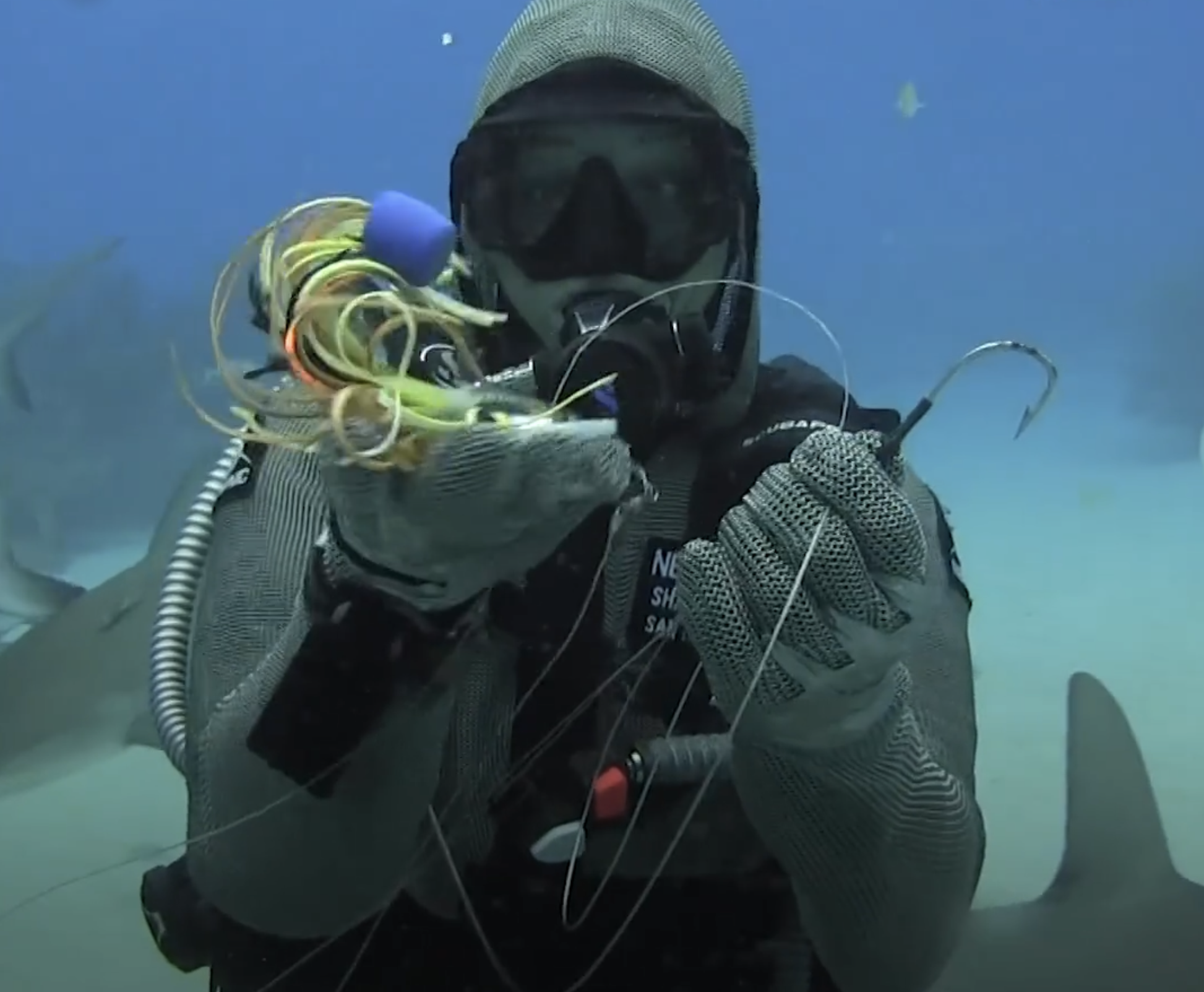 Meet the Shark Whisperer who sticks her hand in their mouths to remove  fishing hooks - BrightVibes