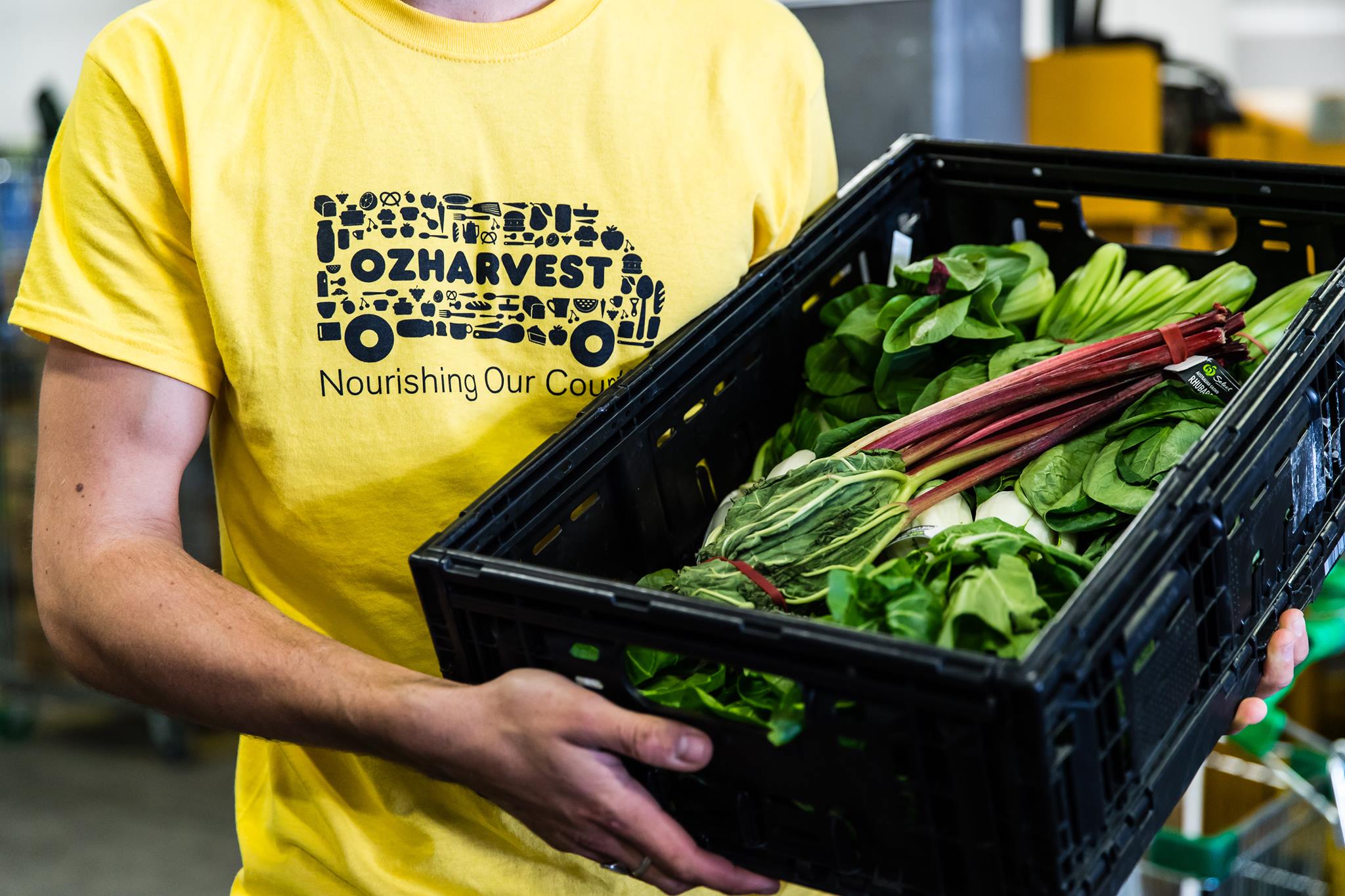 OzHarvest also addresses food security and education through NEST and Nourish programs. NEST provides nutrition education and sustenance training to vulnerable Australians and Nourish trains and mentors disadvantaged youth for a Certificate II in Hospitality.