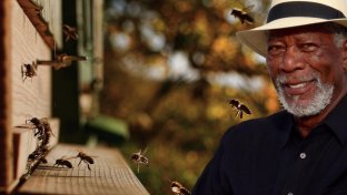 Morgan Freeman transformed his 124-acre ranch into a bee sanctuary