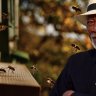 Morgan Freeman transformed his 124-acre ranch into a bee sanctuary