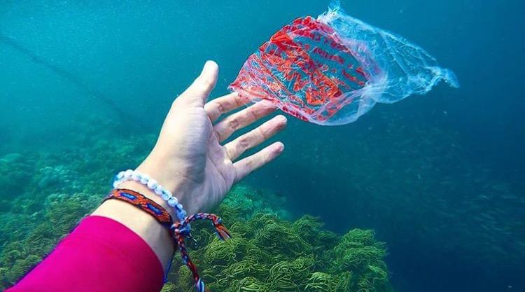 and can be hazardous to a number of marine life. We encourage everyone to consider using reusable grocery bags to reduce the amount of plastic bags being produced and used. Small changes like this can make a huge difference!