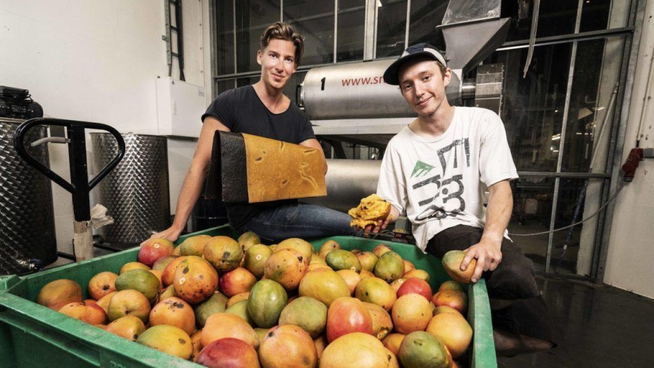 Dutch startup transforms waste mangoes into versatile fruit-leather