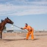Wild Horses &#038; Wilder Men: Inmates train mustangs in Arizona, but who is taming who?