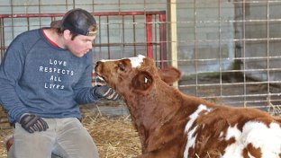 Barn Sanctuary — one man&#8217;s dream to create a safe haven for farm animal refugees