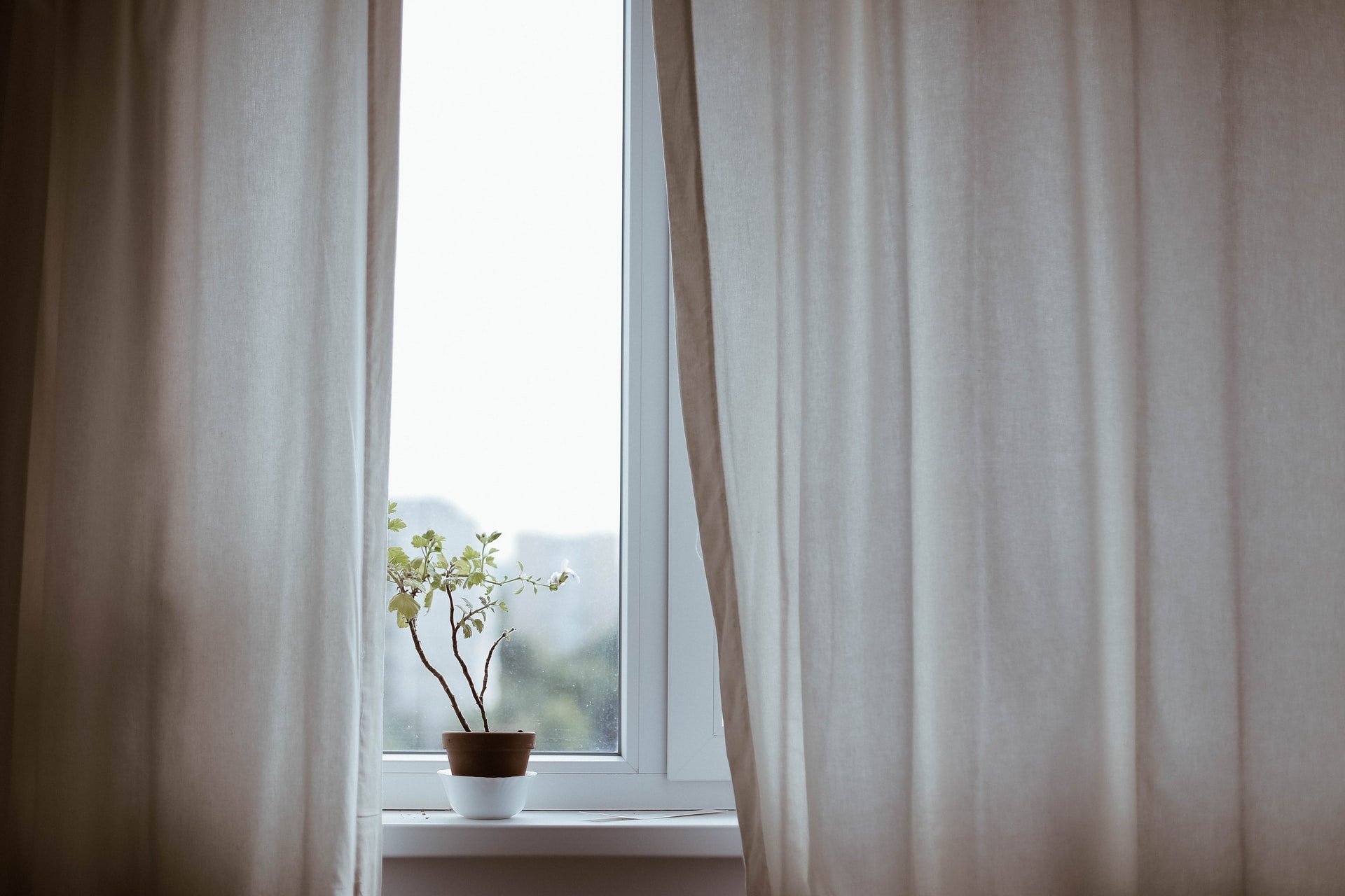 This is particularly important for south-facing rooms, where having the sun streaming through your windows will transform your surroundings into a greenhouse. As a general rule, windows should be kept closed when it is cooler indoors than out, usually when the day is at its hottest, but opened once the daytime temperature drops in the evening and overnight.