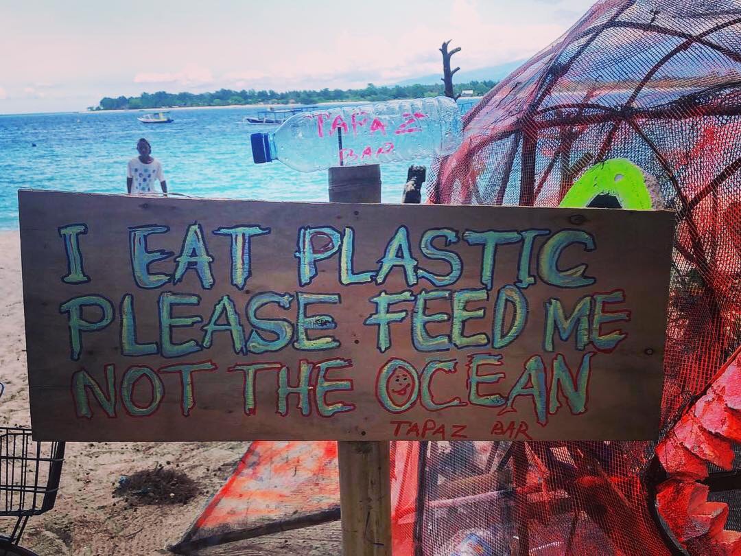 Please make sure you feed our plastic fish with trash instead of the real fish in the ocean! ???♻️?