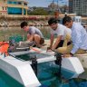 AI-enabled robotic boat cleans waterways to stop plastic trash reaching the ocean