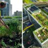Europe&#8217;s first rooftop farm in Rotterdam shows the sky&#8217;s the limit