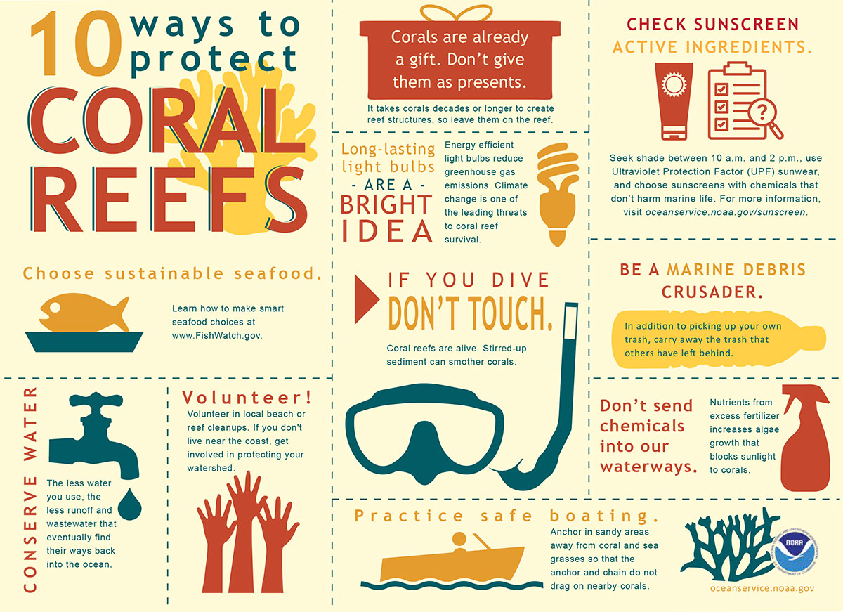 Even if you live far from coral reefs, you can have an impact on reef health and conservation.